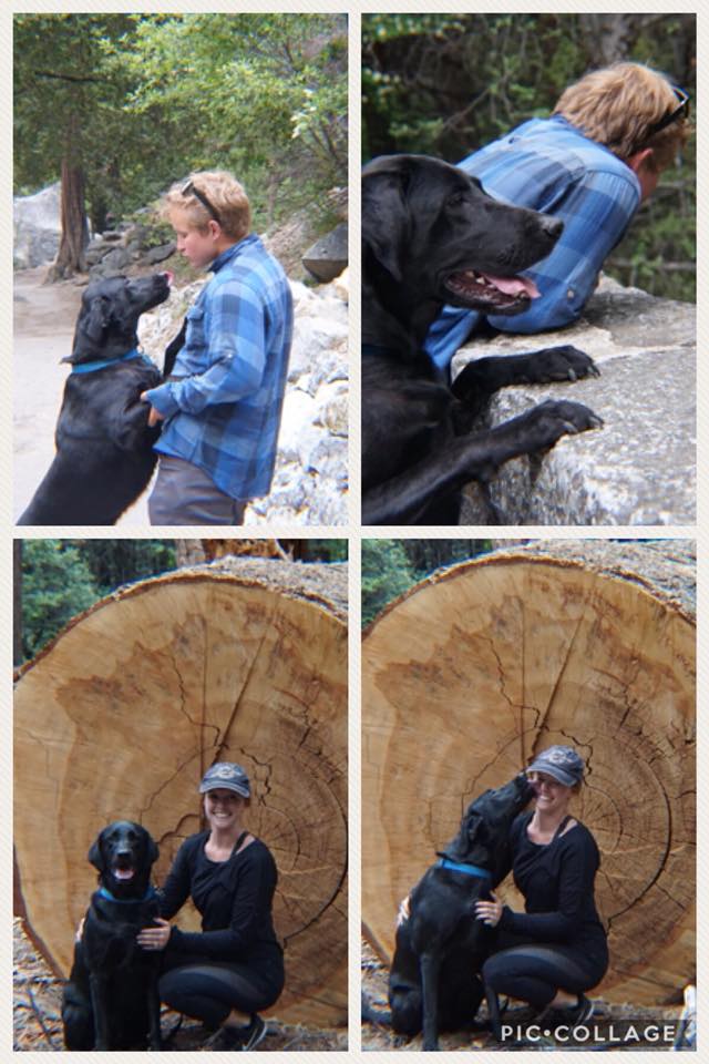 Arya loved Yosemite National Park!
